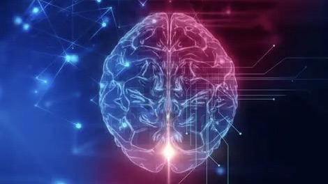 科学在多大程度上有助于理解心灵？